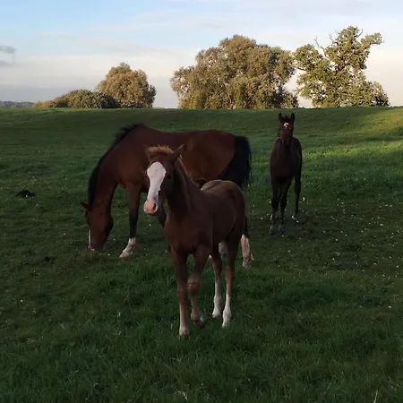 Townhuus No. 1 / Dieksee 호텔 3*